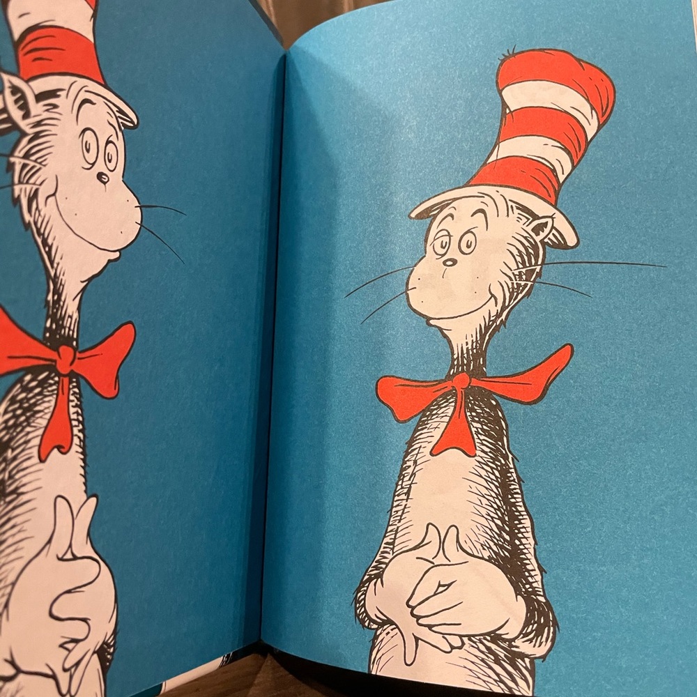The cat in the hat book - Picture 4 of 6